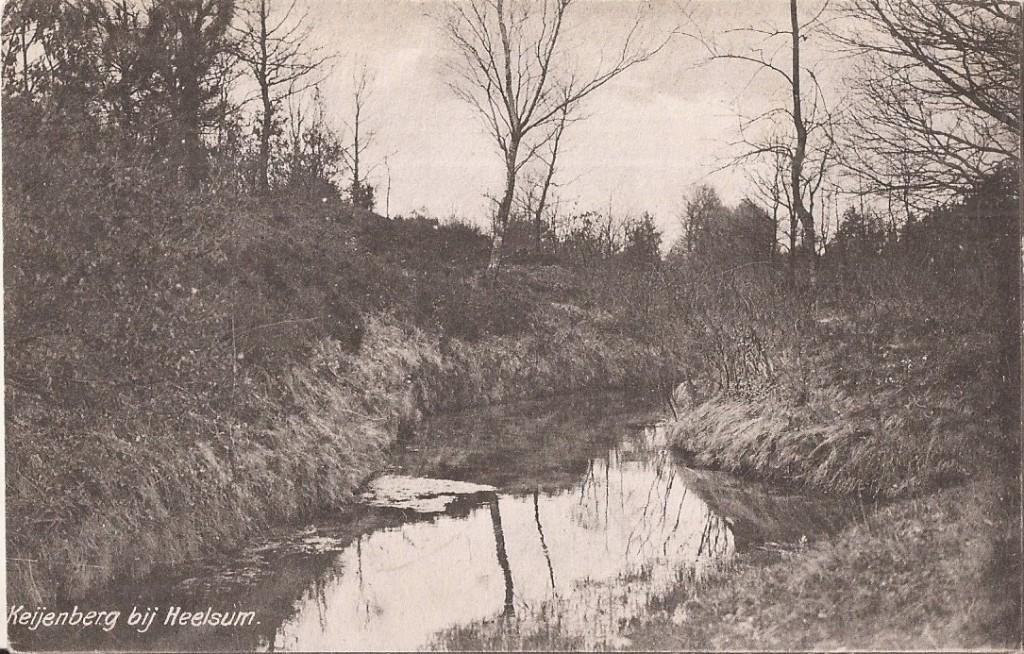Keijenberg bij Heelsum 1918 Uitg. W. Veenendaal Heelsum, Verzamelen, Ophalen of Verzenden, Voor 1920, Gelopen, Gelderland