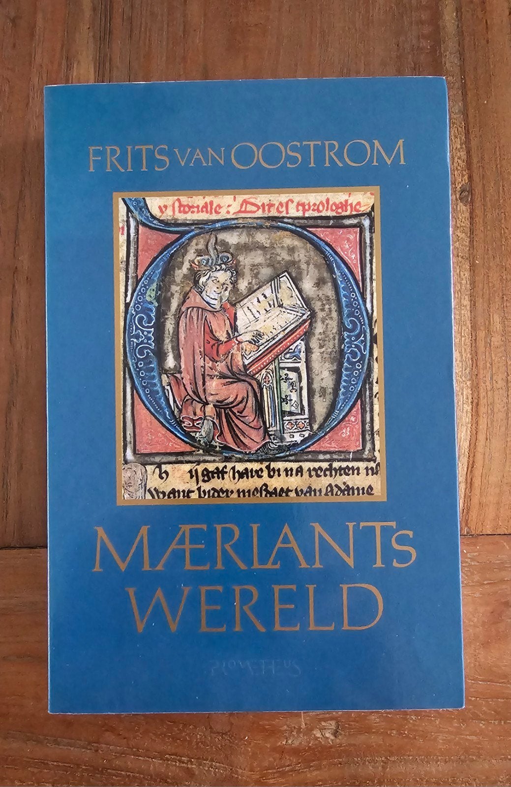Maerlants wereld - Frits van Oostrom, Boeken, Ophalen of Verzenden, Europa