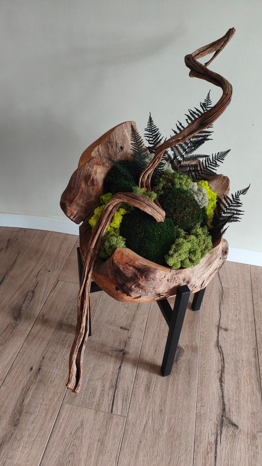 3D moscompositie moslandschap botanische sculptuur, Huis en Inrichting, Woonaccessoires | Overige, Nieuw, Ophalen