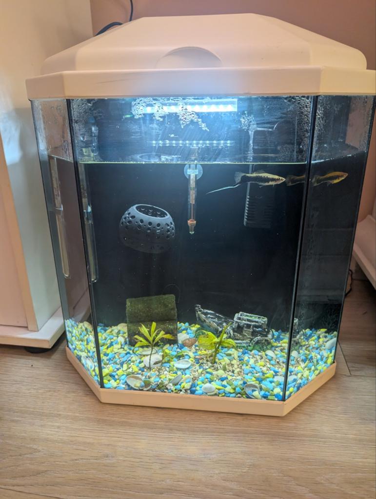 Hexagon aquarium compleet, Dieren en Toebehoren, Vissen | Aquaria en Toebehoren, Ophalen of Verzenden, Zo goed als nieuw, Leeg aquarium