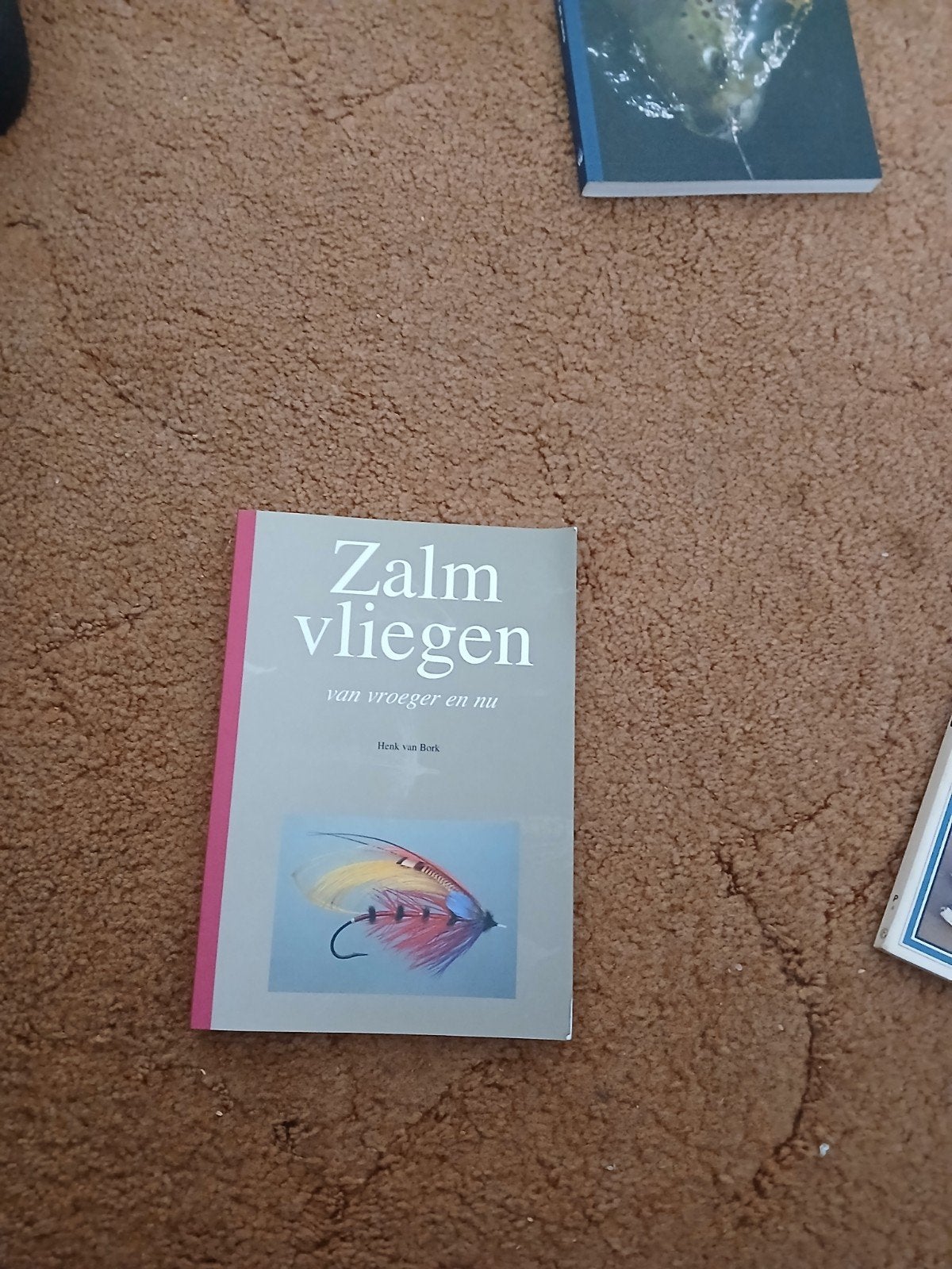 Zalmvliegen: van vroeger en nu - Henk van Beek, Ophalen of Verzenden, Zo goed als nieuw, Henk van Beek, Nederland