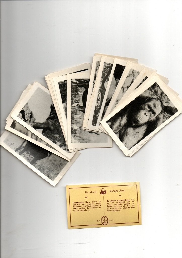 JUBILE ETIKETTEN, Ophalen of Verzenden, Nieuw, Overige typen