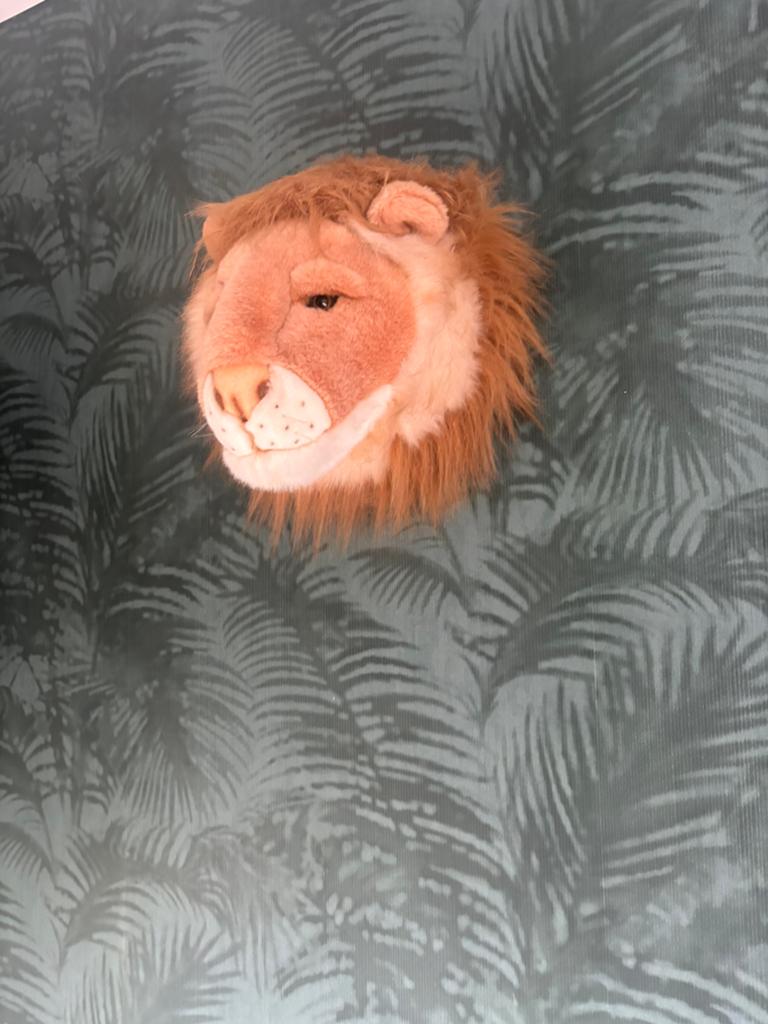 Wild en soft leeuw, Ophalen of Verzenden, Zo goed als nieuw, Overige typen