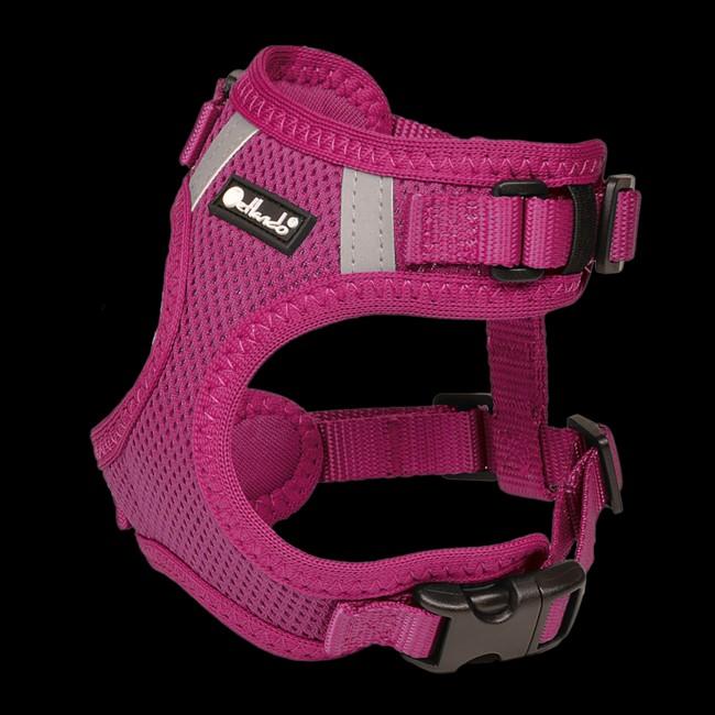 Petlando Mesh Vest Fuchsia
Maat xl, Petlando, Nieuw, Ophalen of Verzenden, Petlando.com