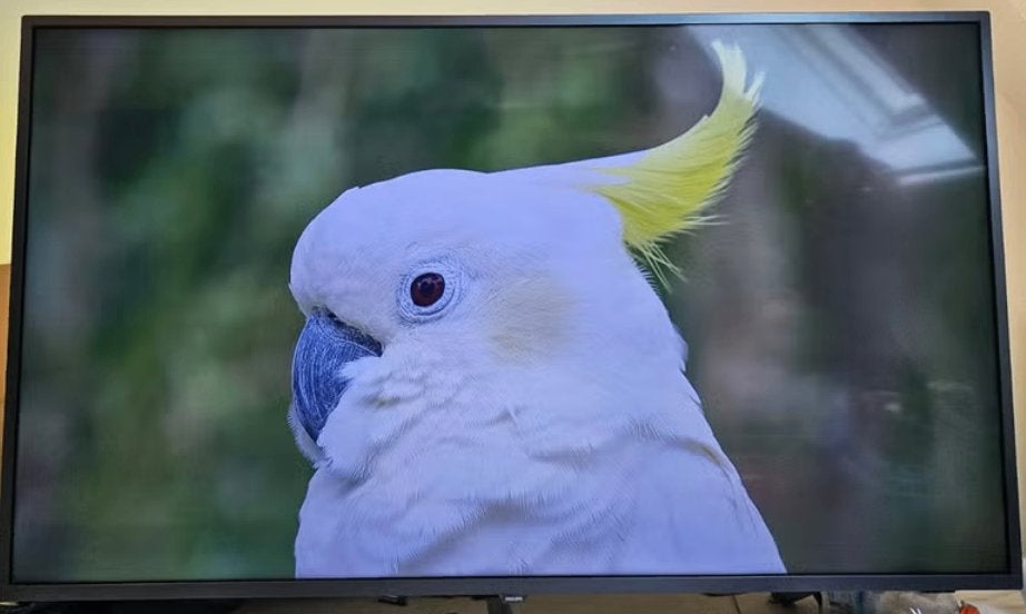 Philips 55 inch 4k Led  amblight TV, Ophalen, Philips, 50 Hz, 100 cm of meer
