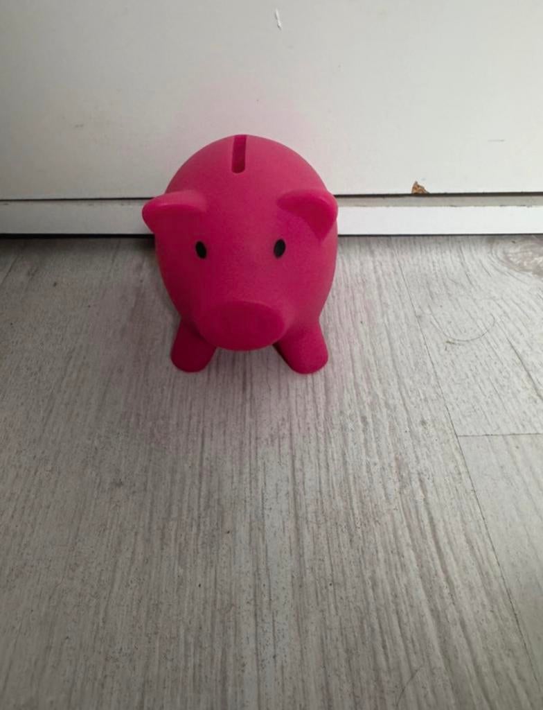 Kleine spaarvarken, Ophalen of Verzenden, Zo goed als nieuw, Overige materialen, Dier