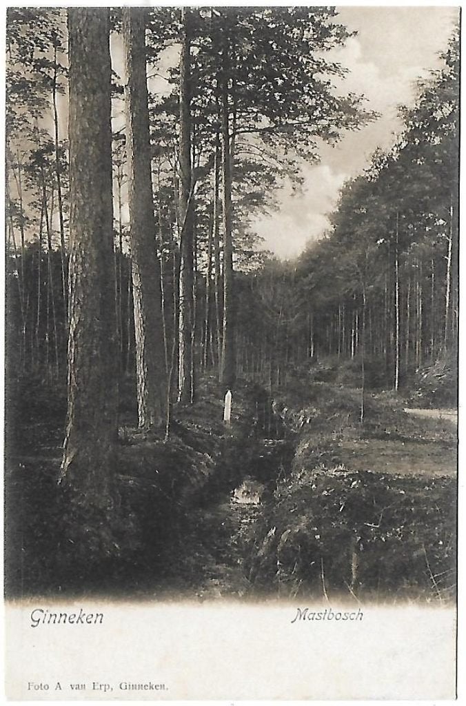 Ginneken Mastbosch Oude Ongelopen Ansichtkaart ( B1421, Ophalen of Verzenden, 1940 tot 1960, Ongelopen