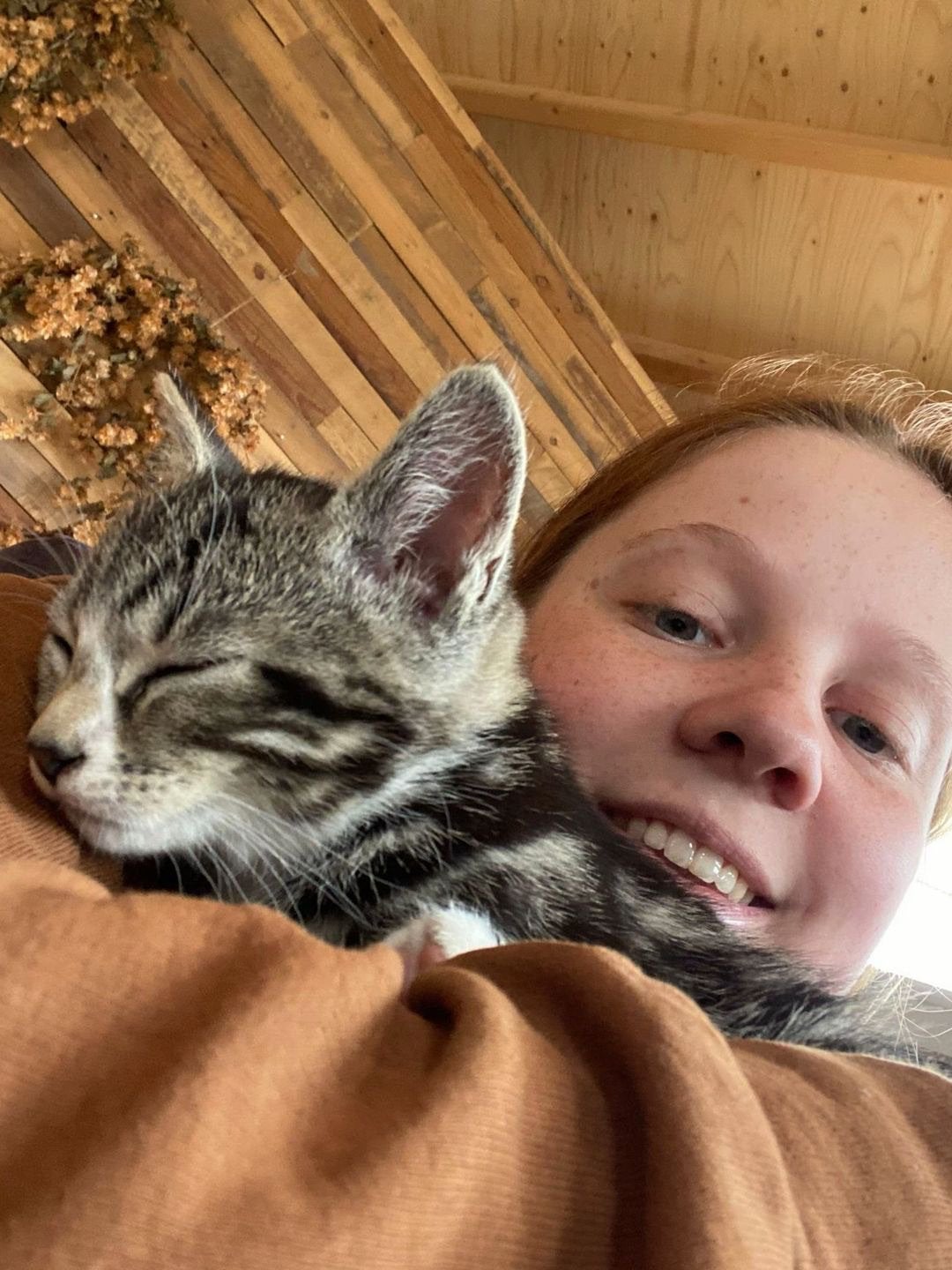 Katten oppas aan geboden, Ophalen of Verzenden