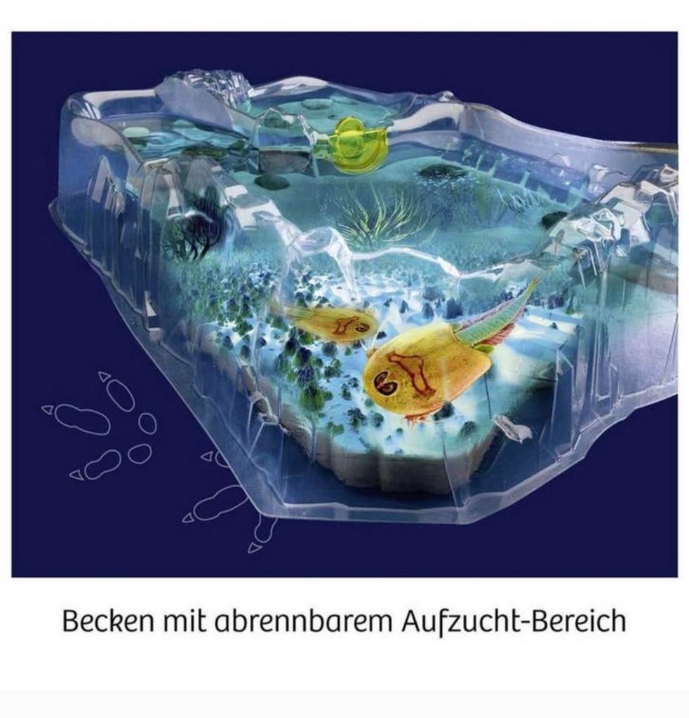 Kosmos Fun Science Triops oertijd-kreeftjes set (Nieuw) 8+, Ophalen of Verzenden, Nieuw, Overige typen