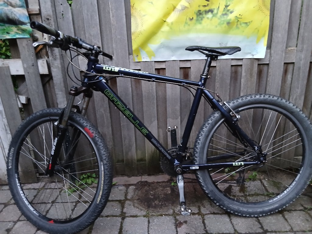 Gazelle xr2 moutainbike, 28 inch, Gebruikt, Vering, Velgrem