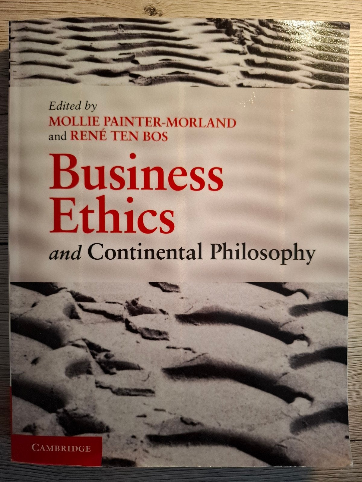 Business Ethics and Continental Philosophy - Studieboek, Boeken, Studieboeken en Cursussen, Mollie Painter-Morland, René Ten Bos