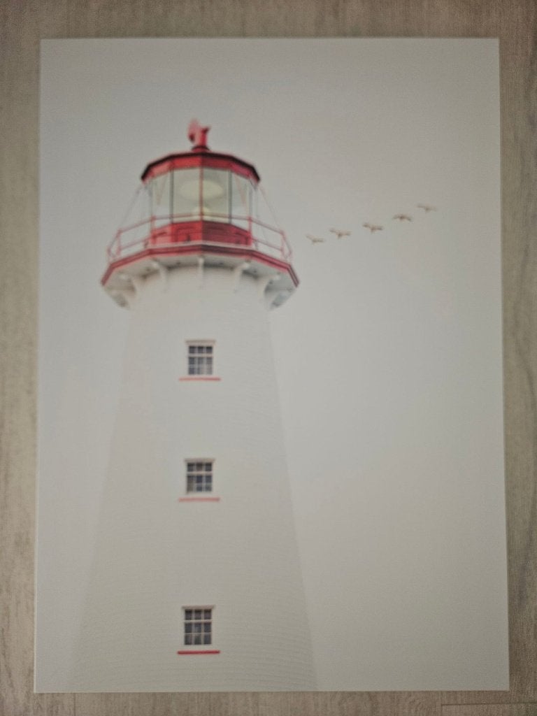 Ikea Pätteryd Canvas - Witte Vuurtoren 50x70cm nieuwstaat, Ophalen, 50 tot 75 cm, Zo goed als nieuw, Foto of Poster