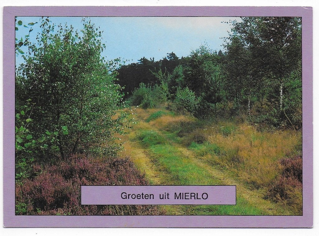 Mierlo Gelopen Ansichtkaart ( B5979 ), Ophalen of Verzenden, 1980 tot heden, Gelopen
