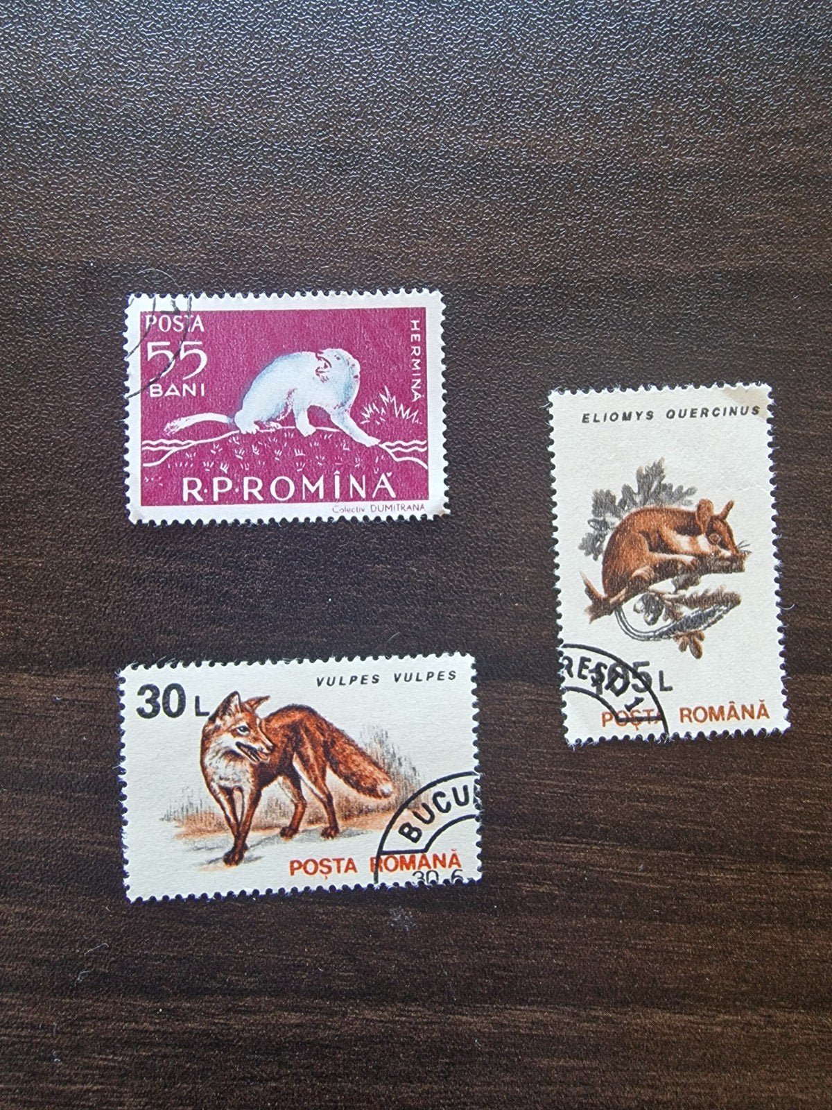 Roemeense postzegels met dieren - Hermelijn, Vos, Eikelmuis, Ophalen of Verzenden, Na 1940, Gestempeld