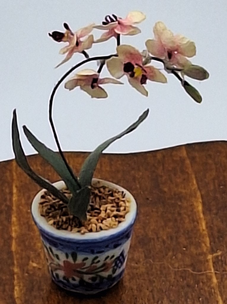 Miniatuur orchidee in pot voor het poppenhuis, Ophalen of Verzenden, Poppenhuis