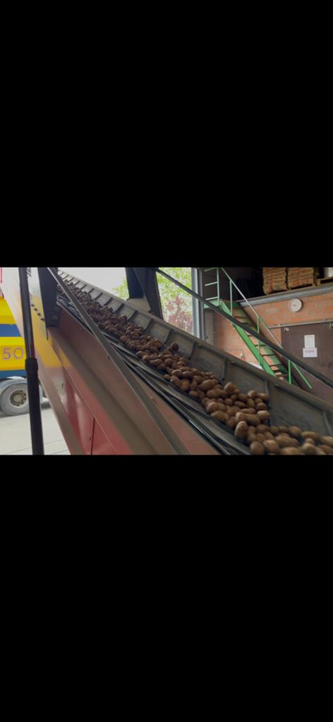 Voeraardappels gebracht met de vrachtwagen, Ophalen of Verzenden, Zo goed als nieuw, Gelijkstroom of Wisselstroom, Overige merken