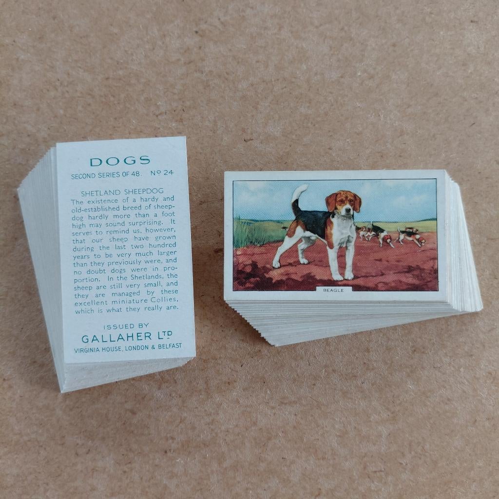 Dogs 2nd compl. set 48 cigarette cards honden 1938 Gallaher, Ophalen