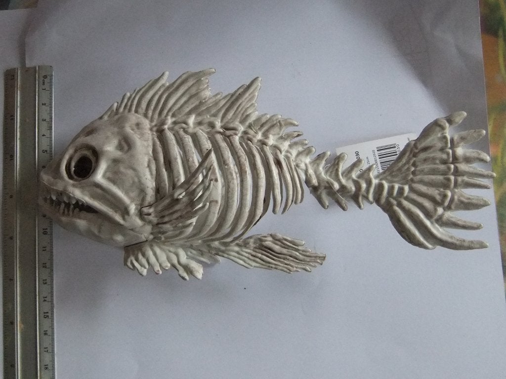 Skeletvis Decoratie  25-12cm, Verzenden, Nieuw, Overige soorten, Beeldje of Figuurtje