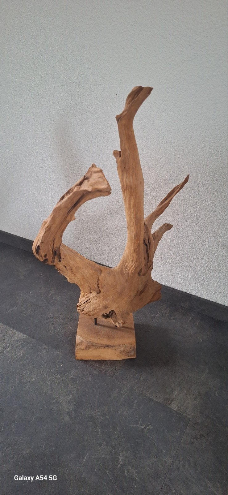 Unieke Teakhouten Wortel Sculptuur - Handgemaakt Indonesië, Ophalen of Verzenden