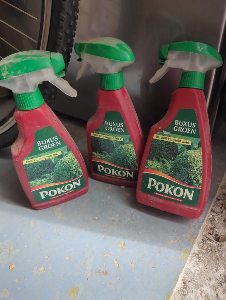Pokon Buxus Groen - Herstelt vergeeld blad (3x 500ml), Ophalen of Verzenden