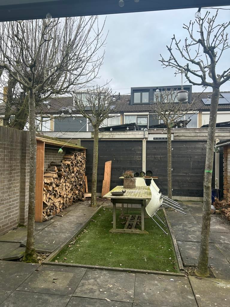 Bol es prachtig, Ophalen of Verzenden, Volle zon, 100 tot 250 cm