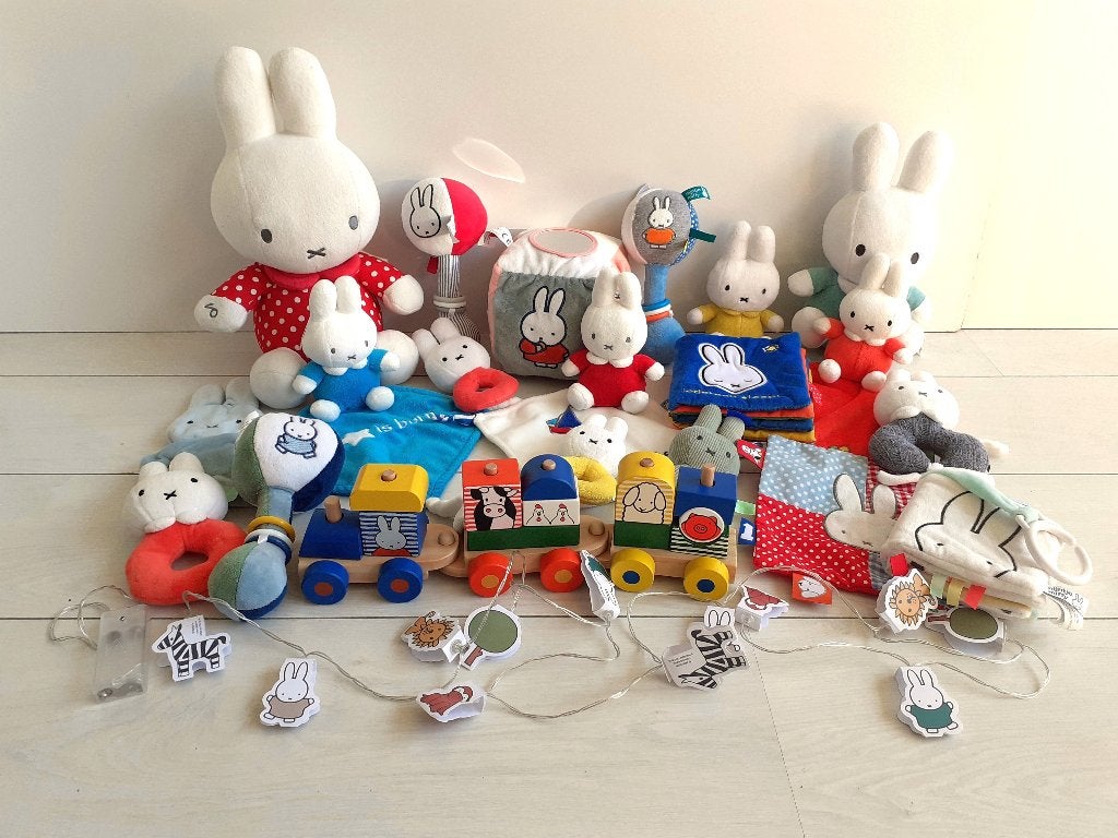 Grote 20 delige Nijntje set, knuffels, boekjes, blokkentrein, Ophalen of Verzenden, Gebruikt, Overige typen