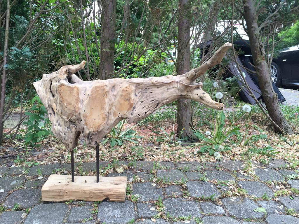 Unieke Teakhouten Wortel Sculptuur op Sokkel, Handgemaakt, Beeld, Bruin, Azië