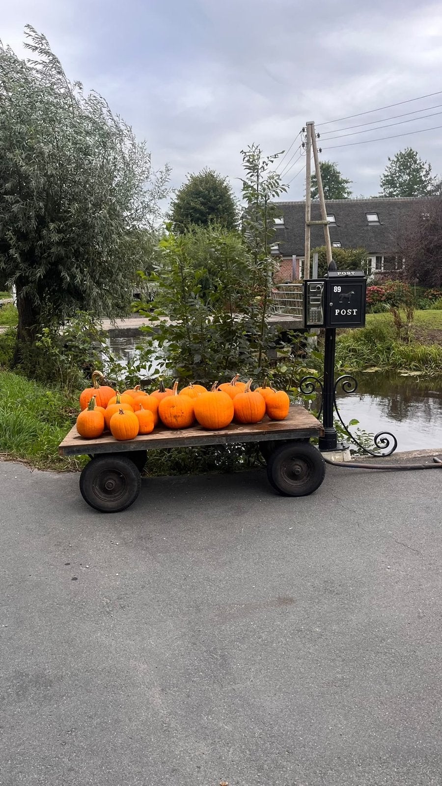Eetbare pompoenen - Perfect voor soep of decoratie, Tuin en Terras, Ophalen, Eenjarig, Groenteplanten, Volle zon