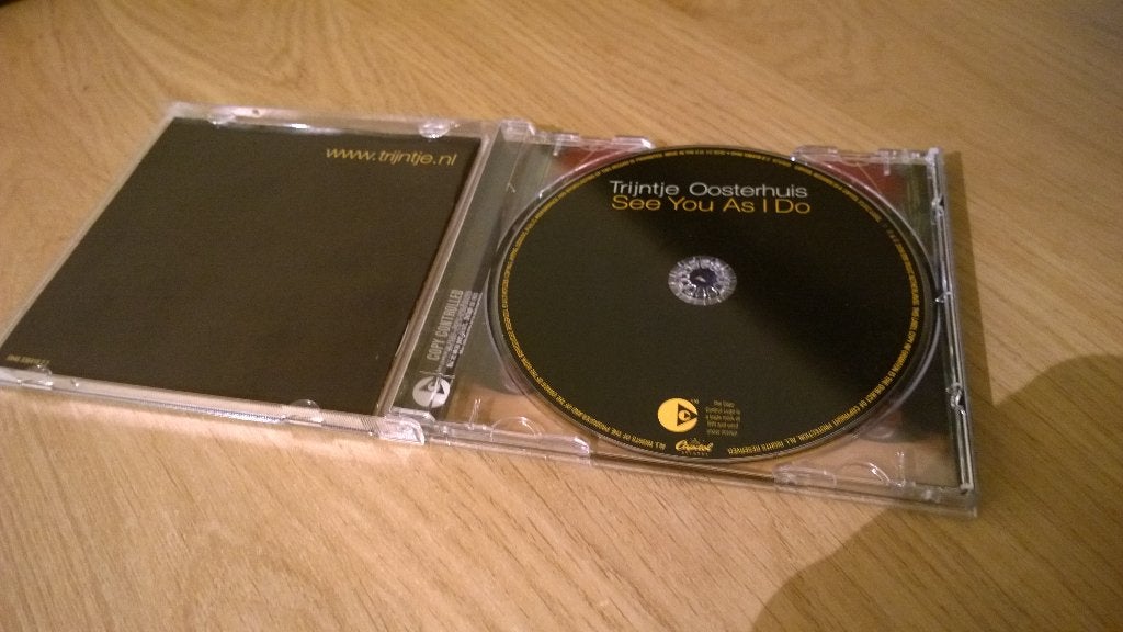 Trijntje oosterhuis ‎– see you as i do, Ophalen, Gebruikt, Jazz, Album