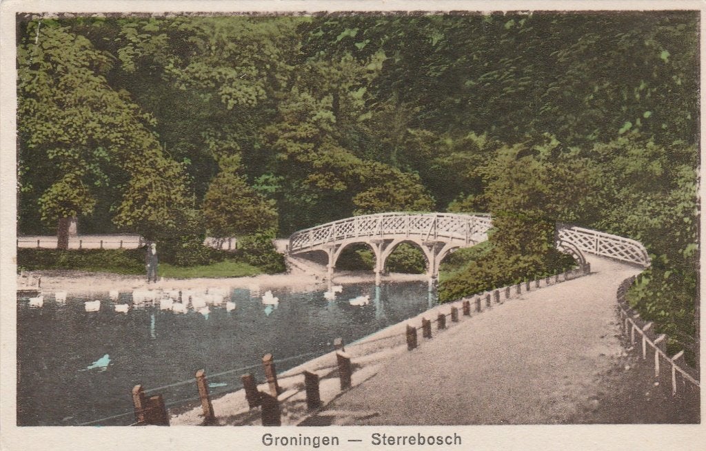 groningen- sterrebosch, Ophalen of Verzenden, Voor 1920, Groningen