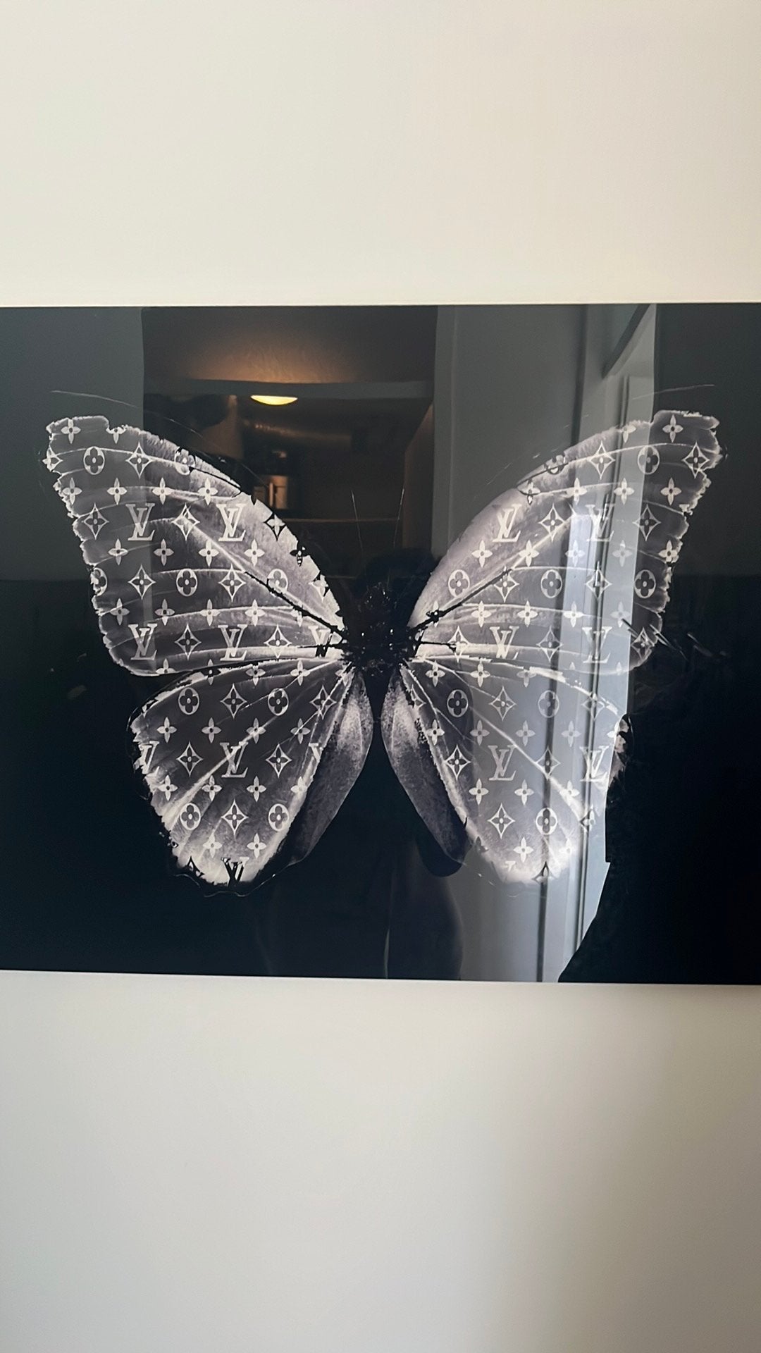 Lv vlinder schilderij, Ophalen