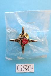 70 jaar Efteling personeels pin nr. EPP50820-01, Ophalen, Nieuw, Button of Speldje