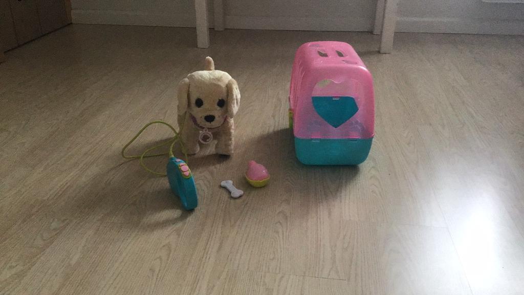 Hond, Ophalen of Verzenden, Nieuw, Jongen of Meisje