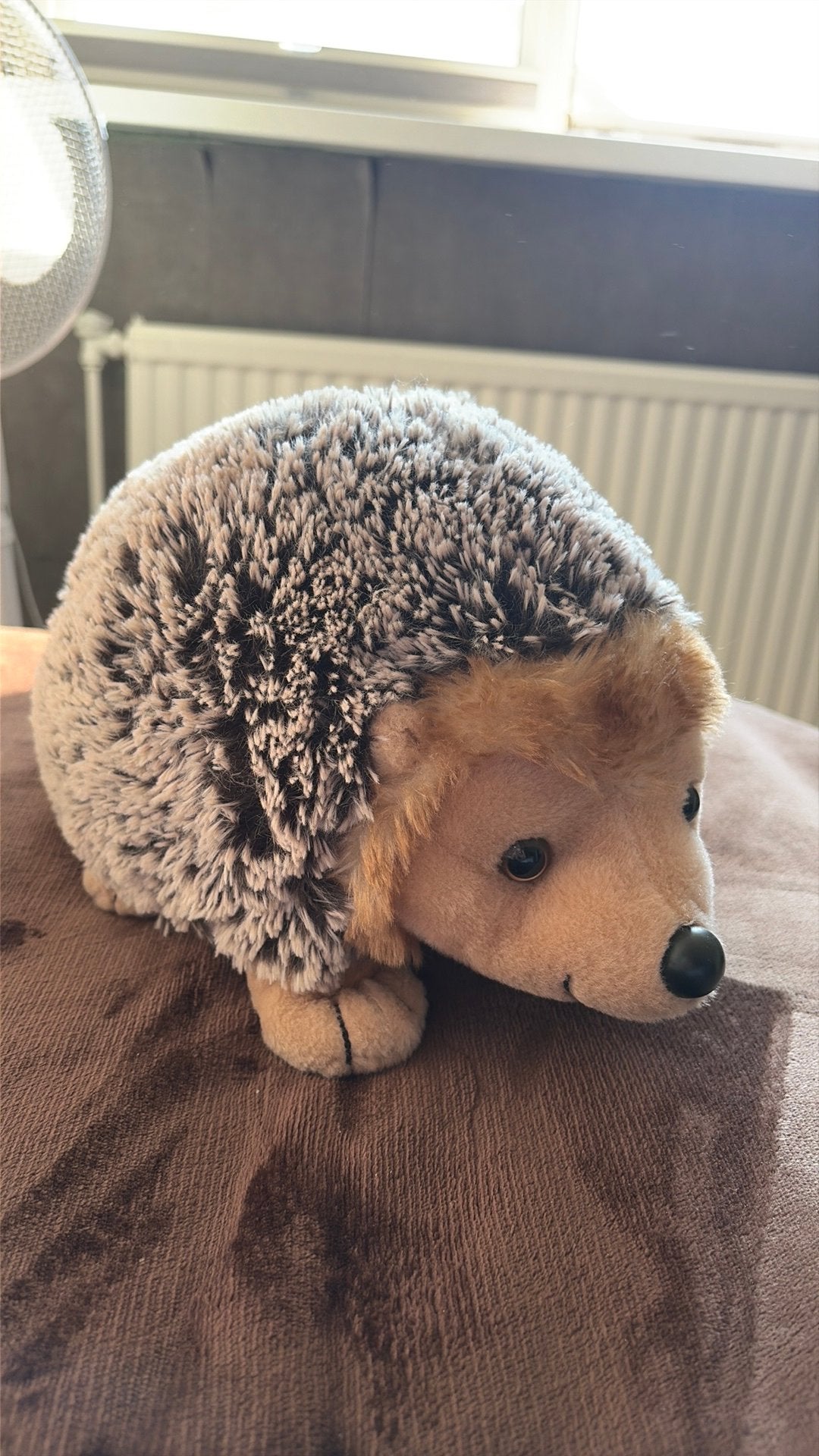 Knuffel Egel, Kinderen en Baby's, Speelgoed | Knuffels en Pluche, Overige merken, Overige typen, Nieuw, Middelgroot (20 tot 80 cm)