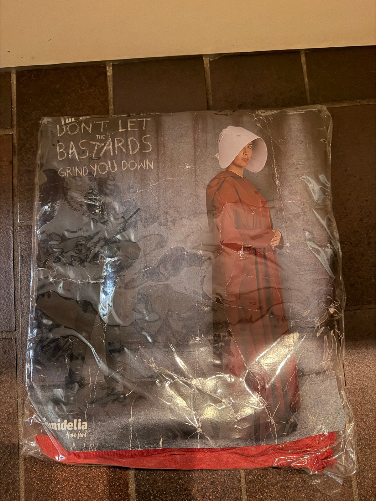 The Handmaid's Tale Kostuum - Eenmalig Gedragen, Kleding | Dames, Maat 42/44 (L), Ophalen of Verzenden, Kleding, Overige thema's