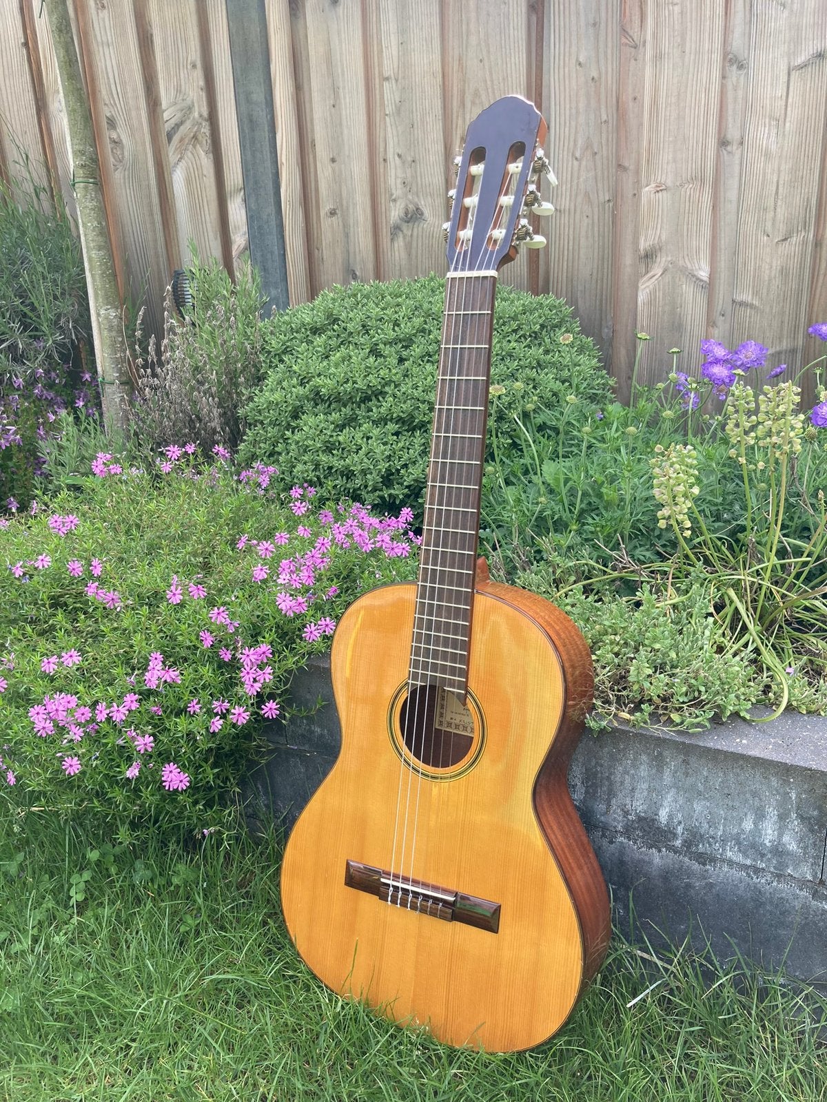 Esteve Kristel 3/4 klassieke gitaar met massief bovenblad, Ophalen, Gebruikt, Klassieke of Spaanse gitaar