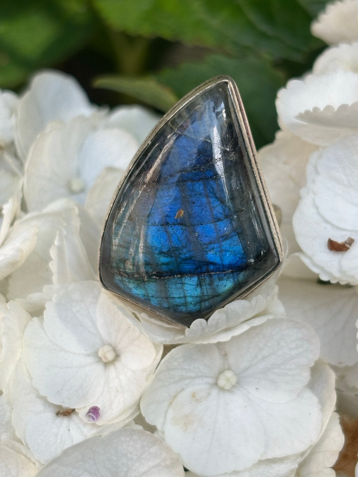 Prachtige Labradoriet Ring - Maat 18, Sieraden, Tassen en Uiterlijk, Ringen, Blauw, Nieuw, Ophalen of Verzenden, 17 tot 18