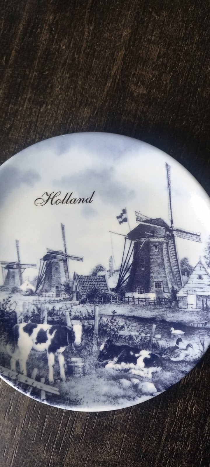 Delfts Blauw wandbordje., Ophalen of Verzenden