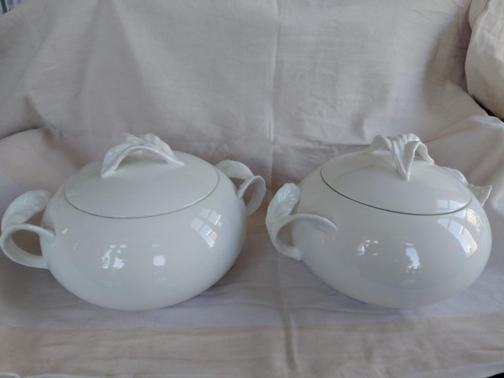 Villeroy & Boch Foglia Vitro-Porselein dekschalen met Deksel, Ophalen of Verzenden, Zo goed als nieuw, Kom(men), Overige stijlen
