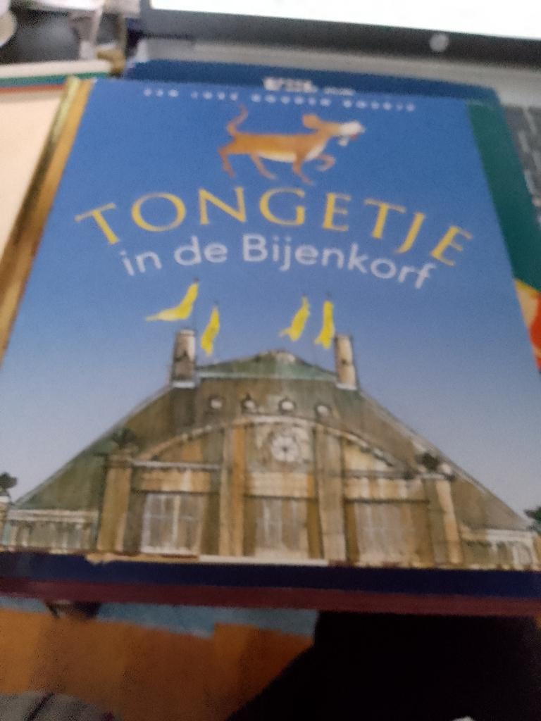 boek tongetje in de bijenkorf  luxe gouden, Ophalen of Verzenden, Zo goed als nieuw, Sprookjes