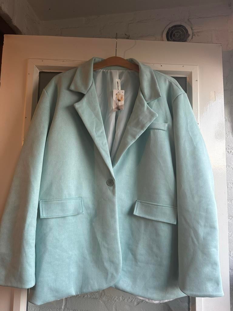 Suède look jasje maat 48, Maat 46/48 (XL) of groter, Nieuw, Ophalen of Verzenden, Jasje