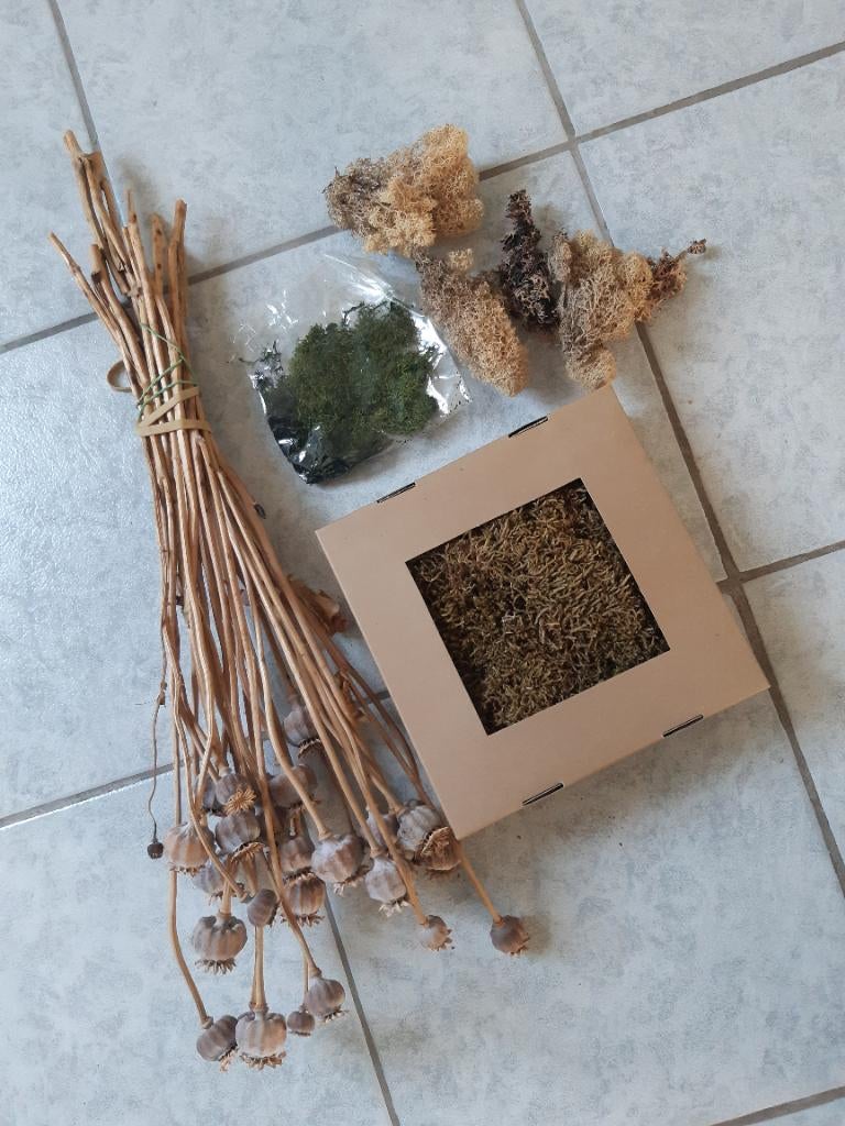 IJslands mos en decoratie materiaal, Ophalen, Zo goed als nieuw