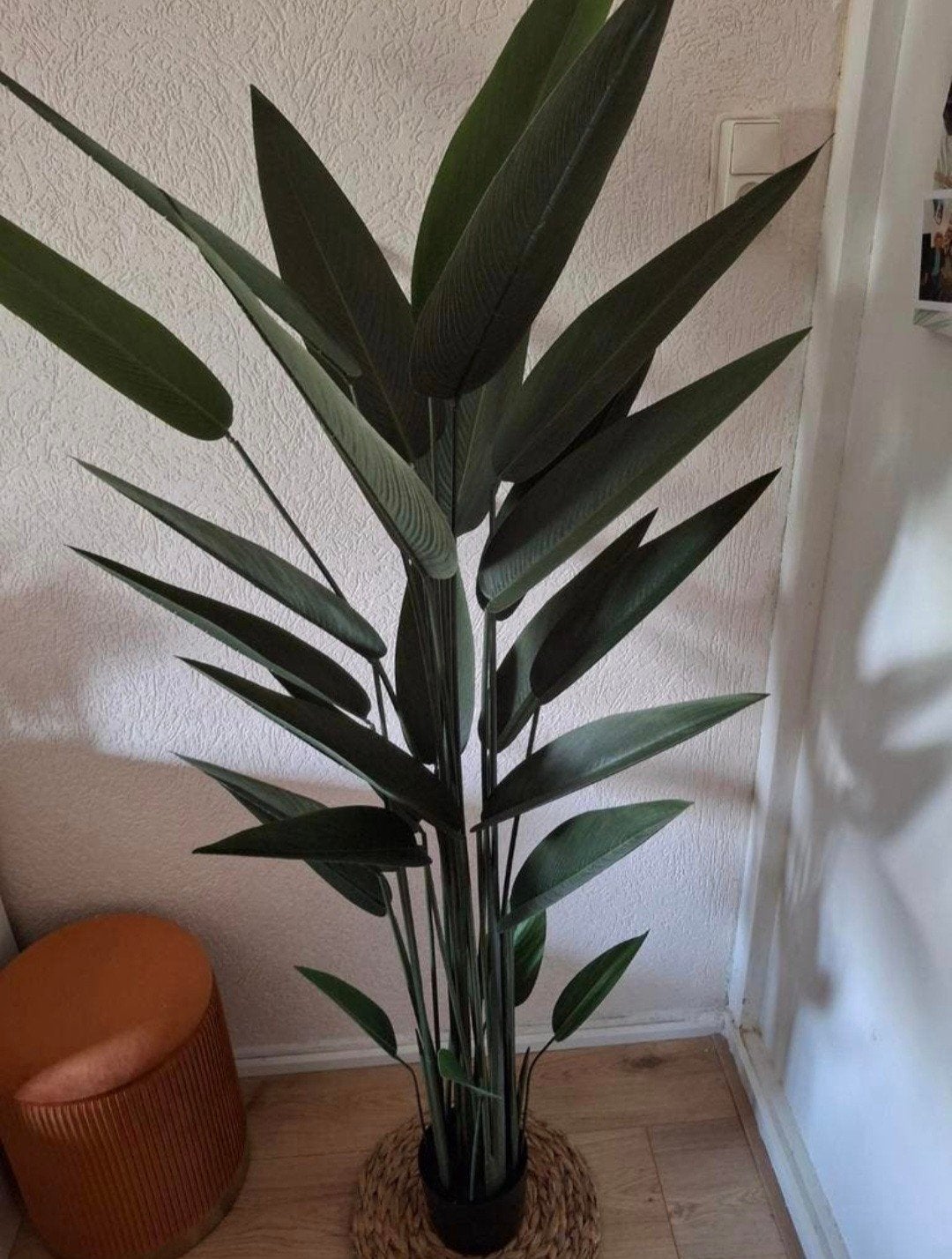 Mooie kwaliteit kunstplant 170cm, Ophalen, Zo goed als nieuw, Kunstplant, 170 cm
