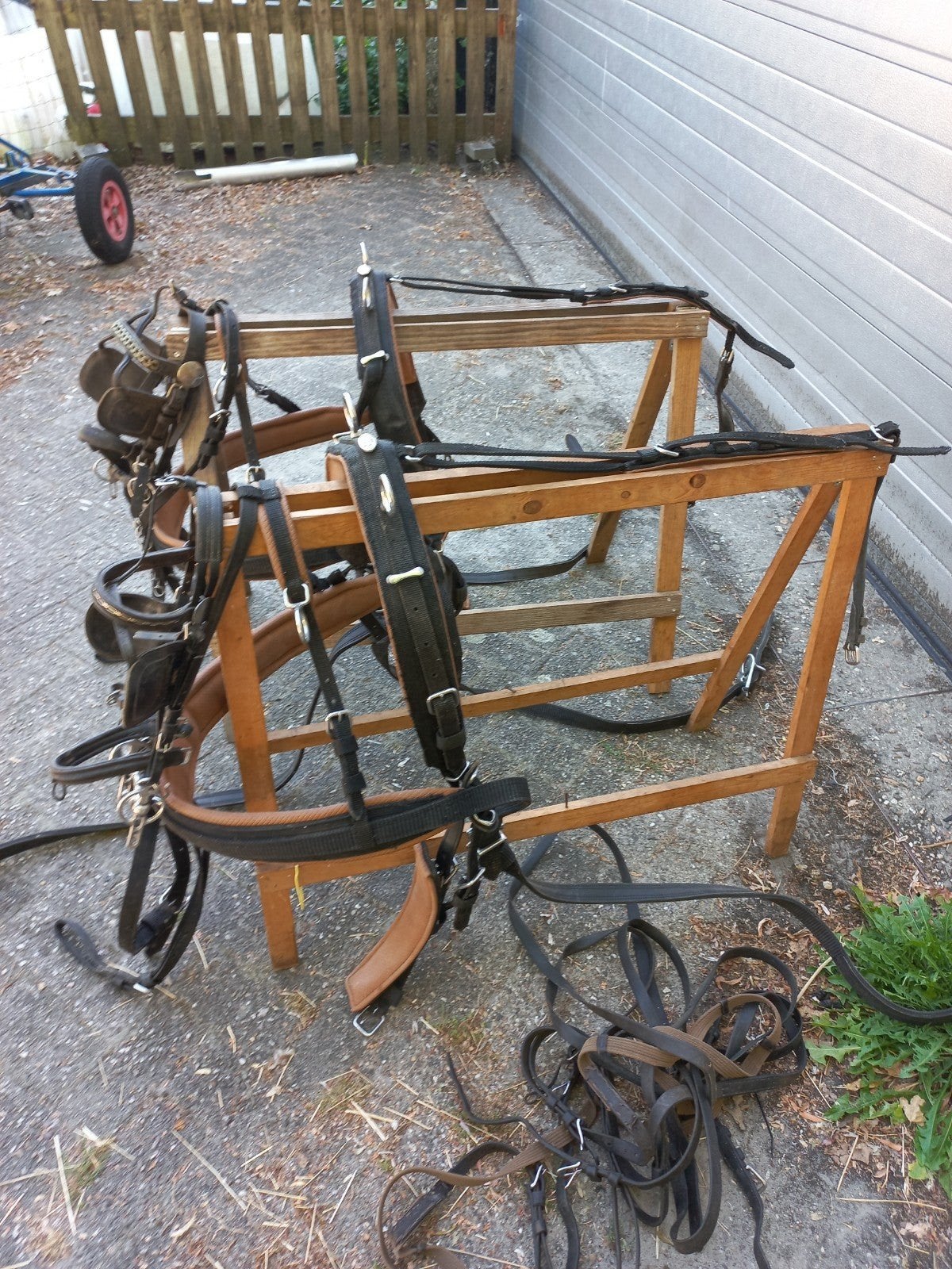 tweespan tuig van ideal, Overige disciplines, Meerkleurig, Inclusief teugels, Pony