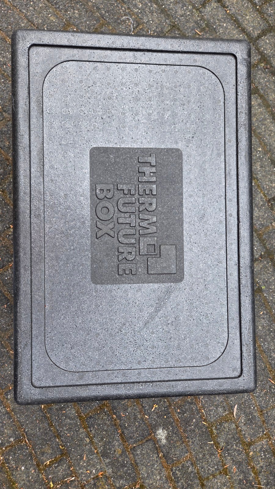 Thermo Future Box - Isolerende Transportbox (54x34x27 cm), Ophalen, Gebruikt, Koelbox, Koelelement