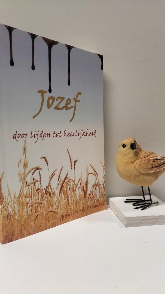 Lagemaat, Hans van de; Jozef door lijden tot heerlijkheid, Ophalen of Verzenden, Gelezen, Christendom | Protestants