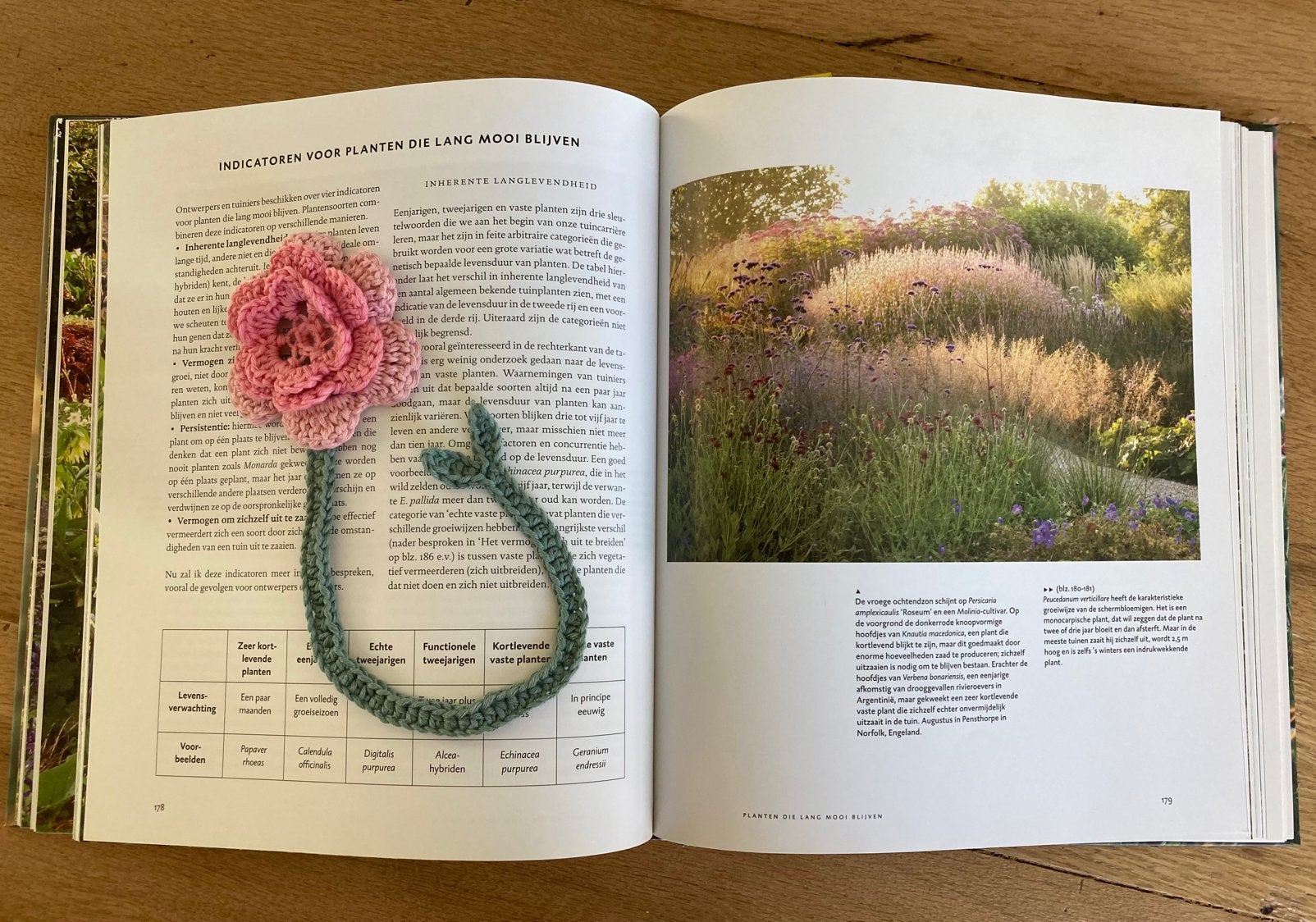 Boekenlegger bloem, Boeken, Ophalen of Verzenden, Nieuw, Bloemen, Planten en Bomen