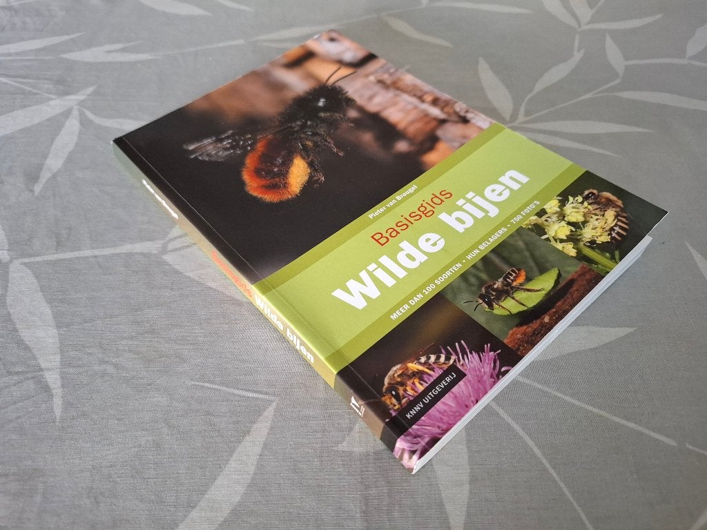 Basisgids WILDE BIJEN - Pieter van Breugel, Ophalen of Verzenden, Zo goed als nieuw, Overige diersoorten