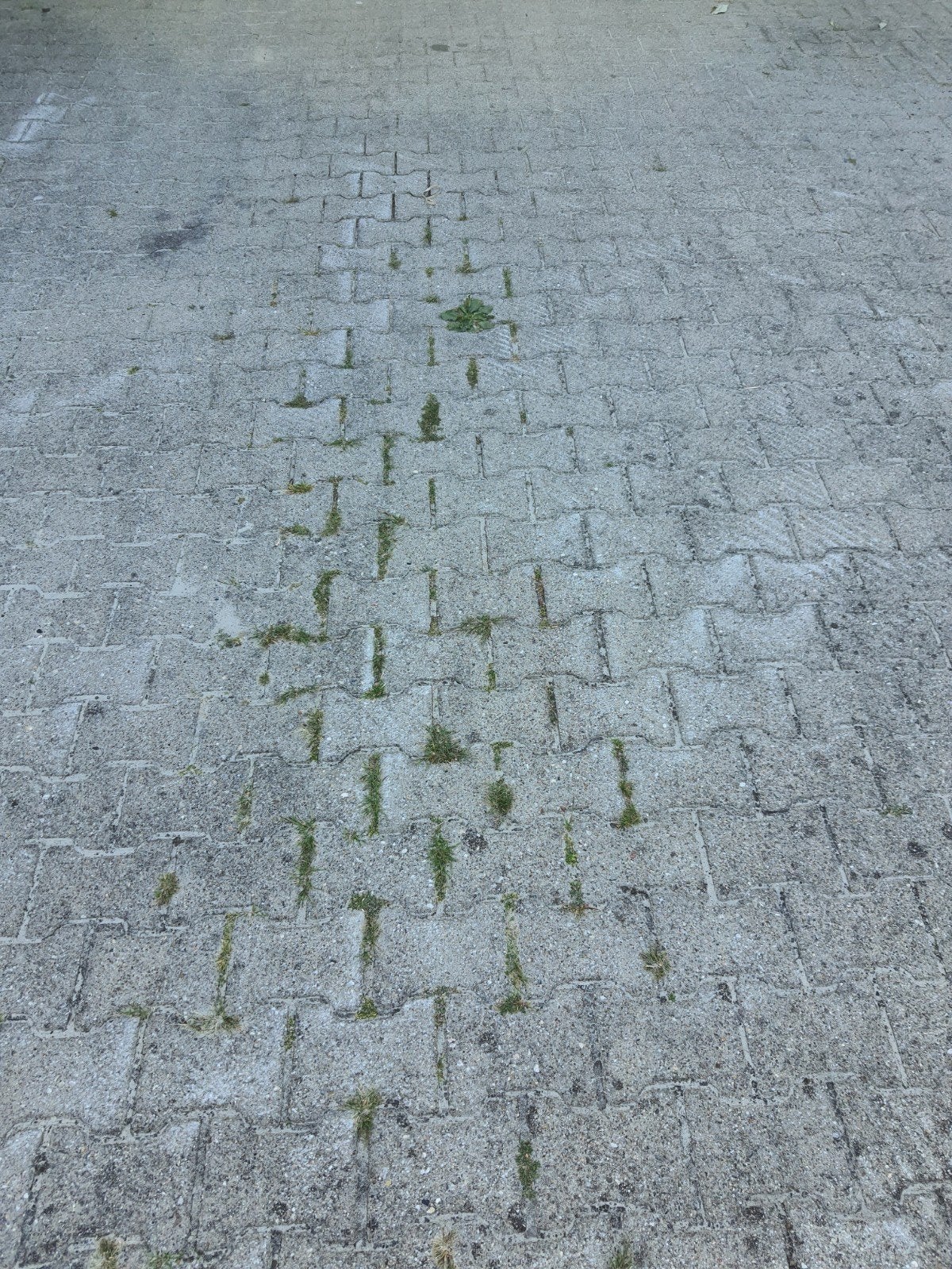 ruim 100 meter H klinkers van 6 cm dik, Ophalen, Beton, 10 m² of meer, Klinkers