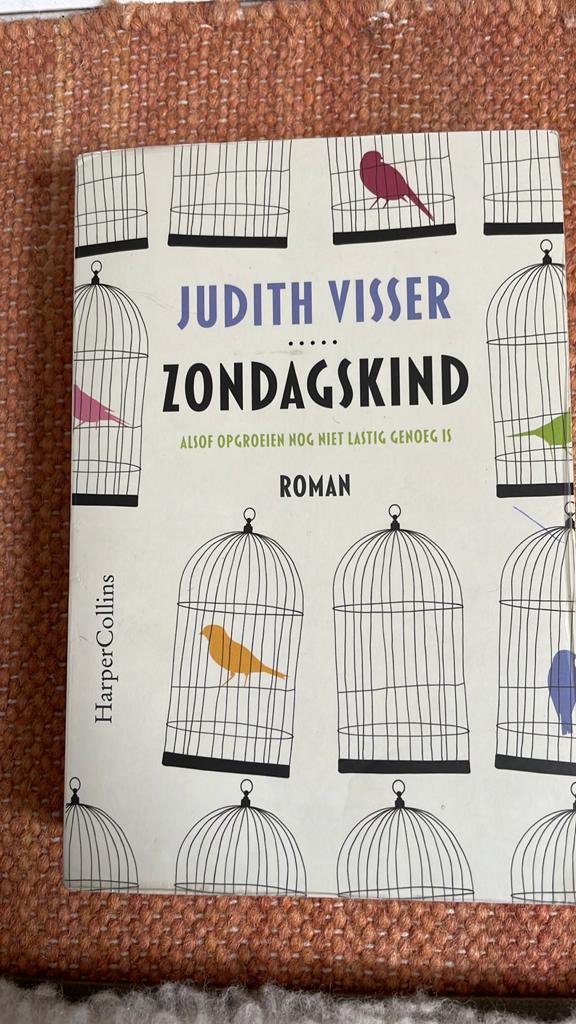 Judith Visser - Zondagskind, Boeken, Ophalen of Verzenden, Gelezen, Judith Visser